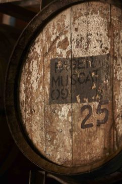 09 muscat wine barrel ageing