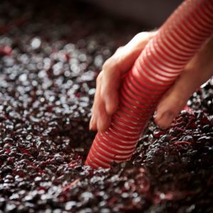 The winemaking process
