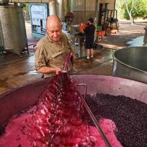 The process of making wine with equipment